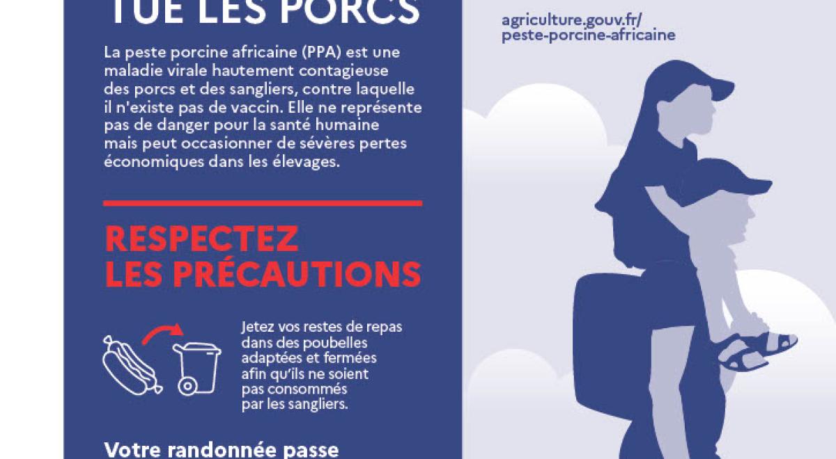 Consignes pour ne pas protéger la peste porcine