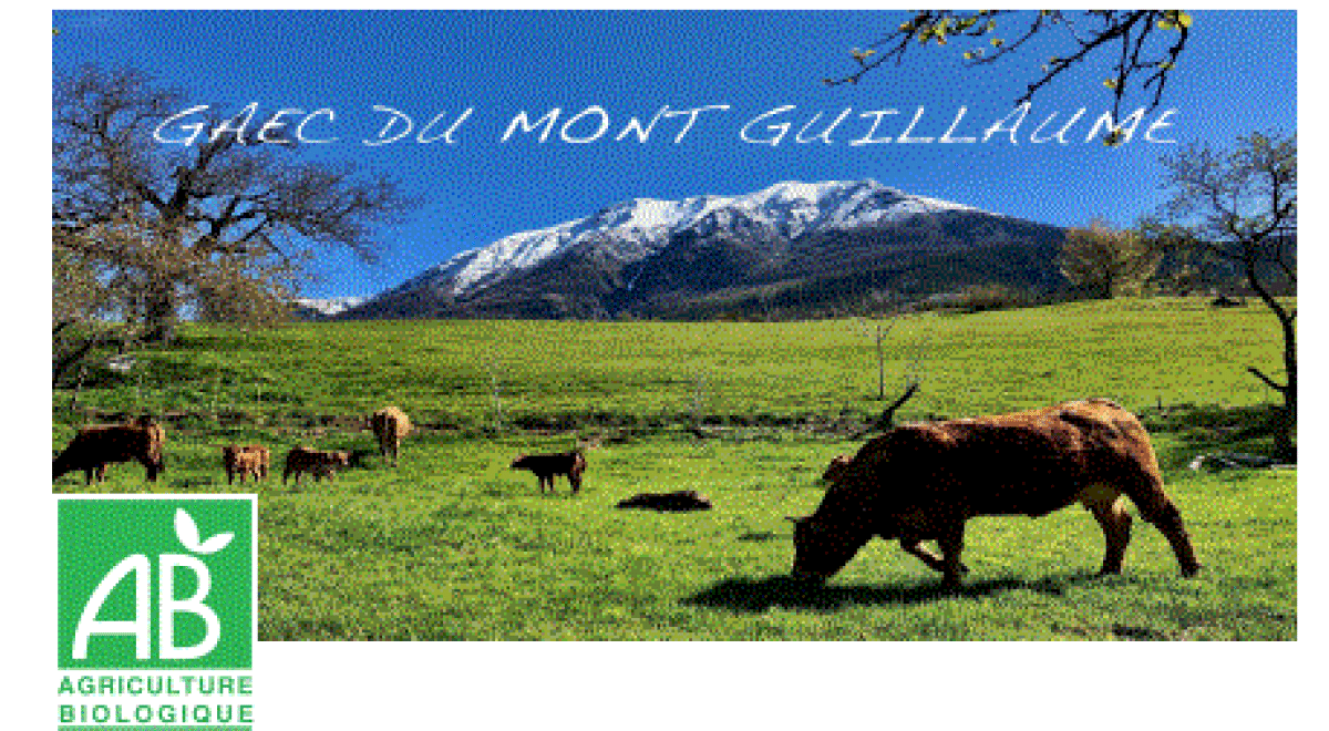 Vente directe de viande bovine