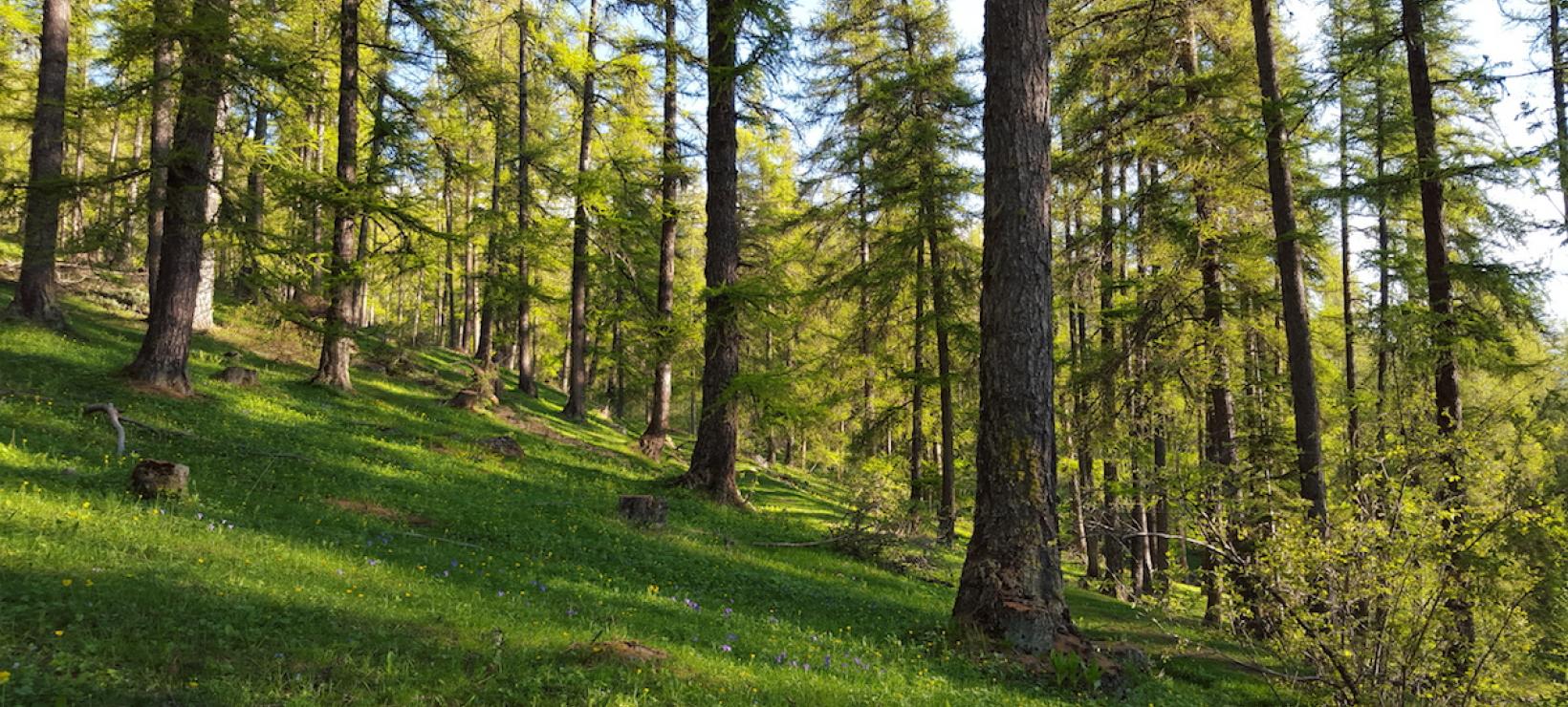 Mairie de PuySaintEusèbe