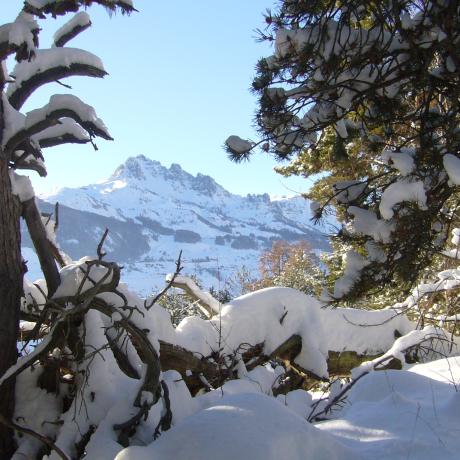 les aiguilles de Chabrières