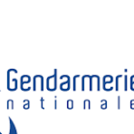 Rapport des interventions de la gendarmerie sur le territoire de la commune de Puy Saint Eusèbe. 