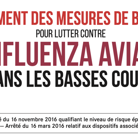 influenza aviaire influenza aviaire