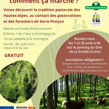 Le pastoralisme en forêt