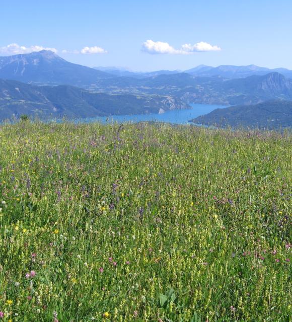 Mairie de PuySaintEusèbe