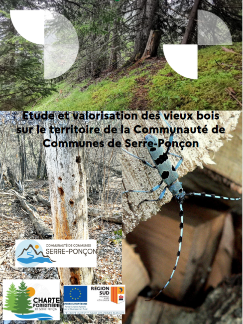 couverture rapport couverture rapport