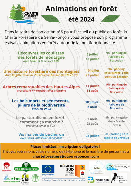 Programme été 2024 en forêt