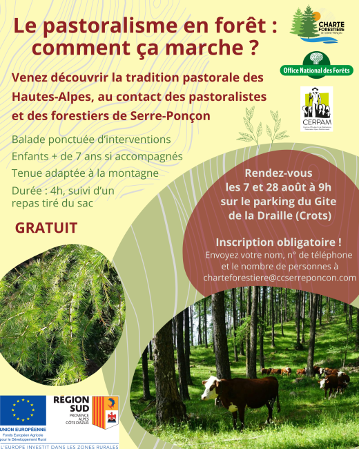 Le pastoralisme en forêt