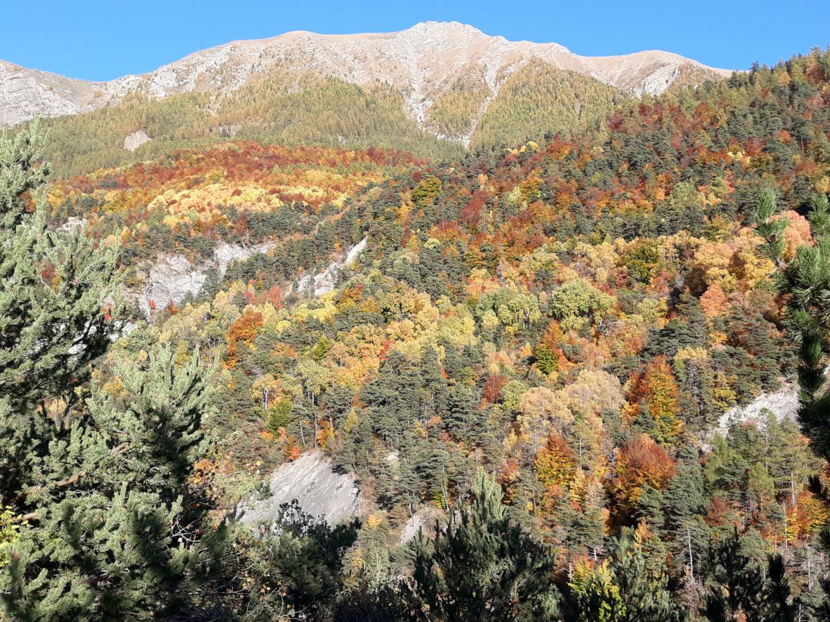 Mairie de PuySaintEusèbe